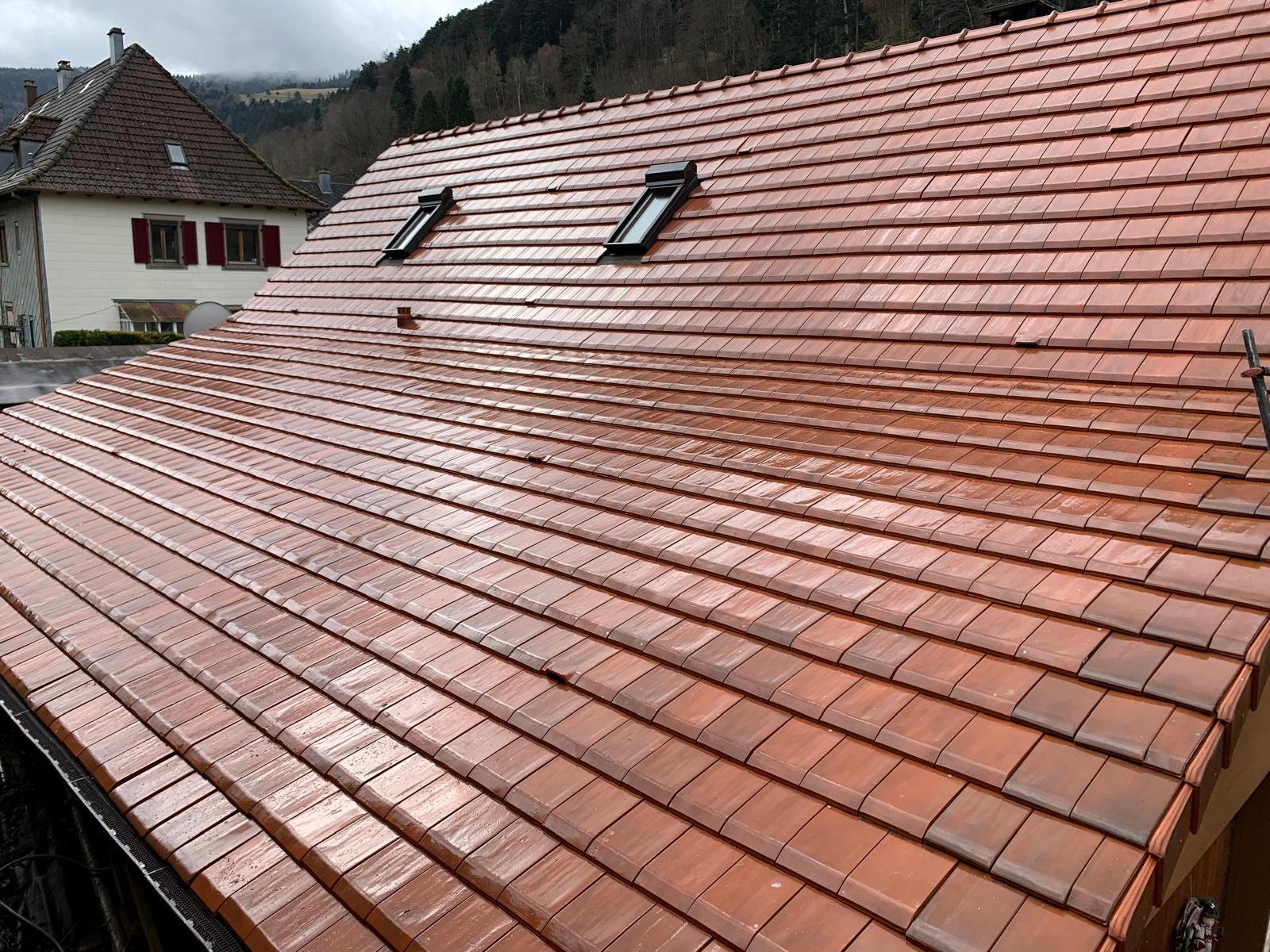 Toiture avant démoussage