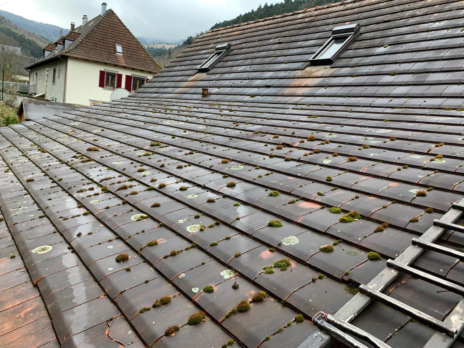 Toiture après démoussage